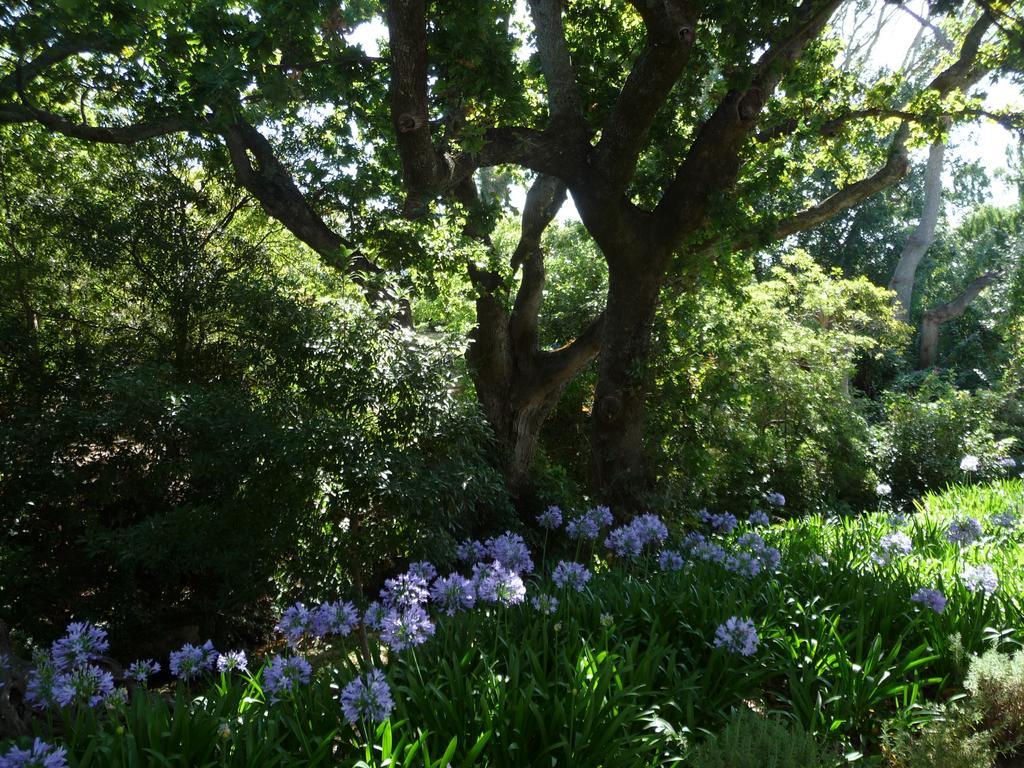 Klein Waterval Riverside Lodge Franschhoek Zewnętrze zdjęcie