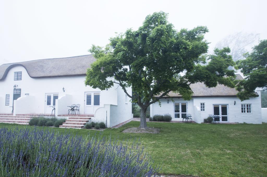 Klein Waterval Riverside Lodge Franschhoek Zewnętrze zdjęcie